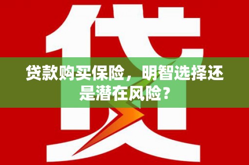 梅州贷款购买保险，明智选择还是潜在风险？