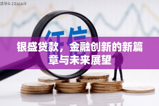 梅州银盛贷款，金融创新的新篇章与未来展望