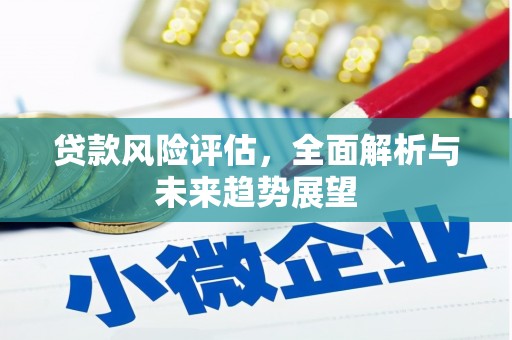 梅州贷款风险评估，全面解析与未来趋势展望