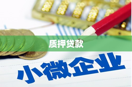 梅州质押贷款