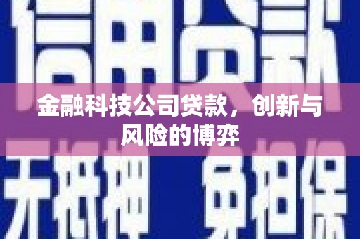梅州金融科技公司贷款，创新与风险的博弈