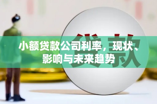 梅州小额贷款公司利率，现状、影响与未来趋势