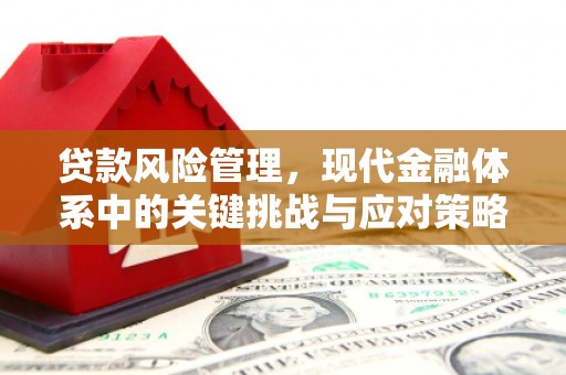 梅州贷款风险管理，现代金融体系中的关键挑战与应对策略