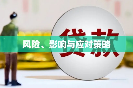 梅州风险、影响与应对策略