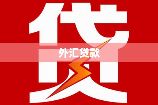 梅州外汇贷款