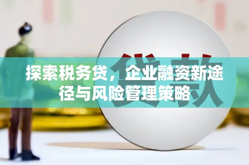 梅州探索税务贷，企业融资新途径与风险管理策略