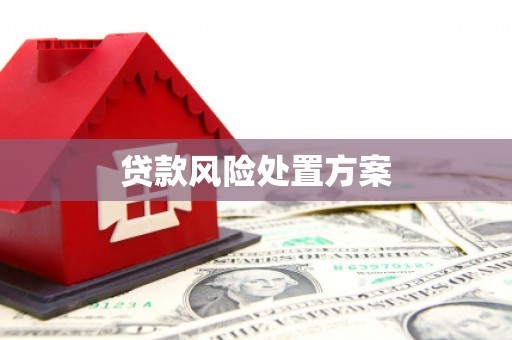梅州贷款风险处置方案