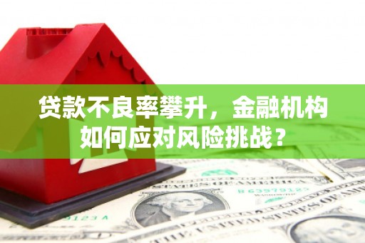 梅州贷款不良率攀升，金融机构如何应对风险挑战？