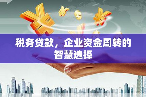 梅州税务贷款，企业资金周转的智慧选择