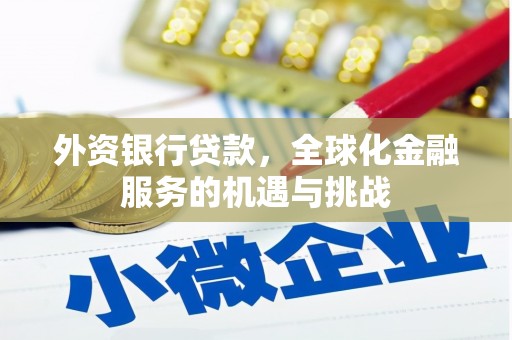 梅州外资银行贷款，全球化金融服务的机遇与挑战
