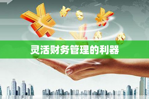 梅州灵活财务管理的利器
