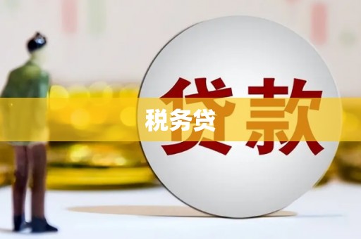 梅州税务贷