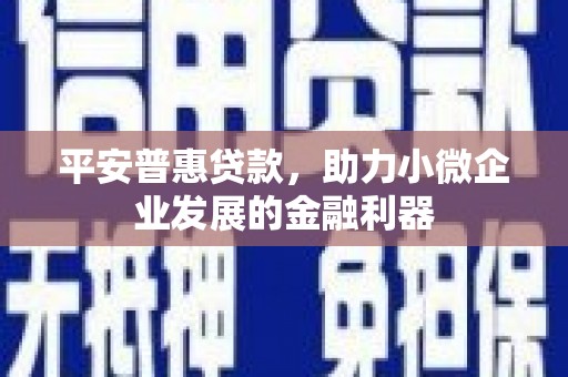 梅州平安普惠贷款，助力小微企业发展的金融利器