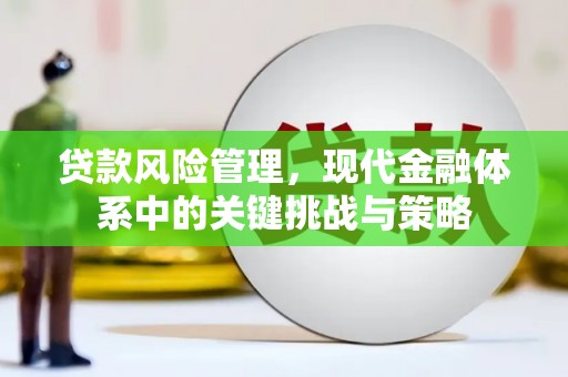 梅州贷款风险管理，现代金融体系中的关键挑战与策略