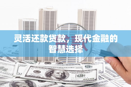 梅州灵活还款贷款，现代金融的智慧选择