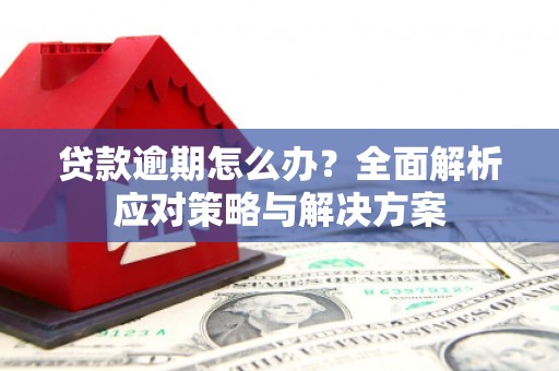 梅州贷款逾期怎么办？全面解析应对策略与解决方案