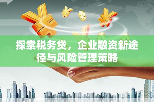 梅州探索税务贷，企业融资新途径与风险管理策略