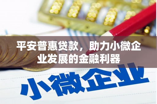 梅州平安普惠贷款，助力小微企业发展的金融利器