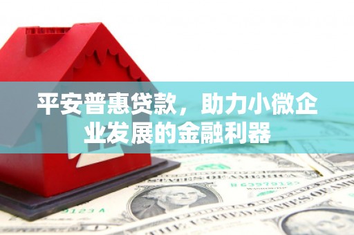 梅州平安普惠贷款，助力小微企业发展的金融利器
