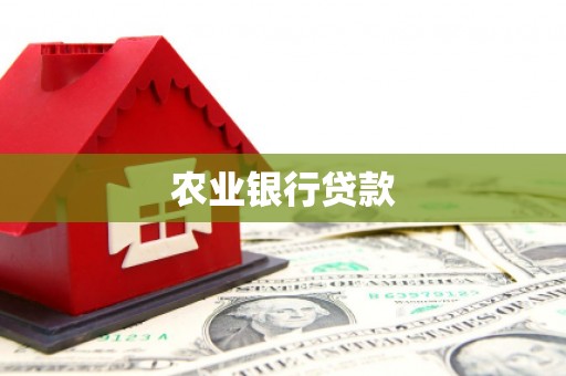 梅州农业银行贷款