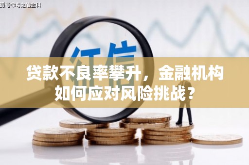 梅州贷款不良率攀升，金融机构如何应对风险挑战？