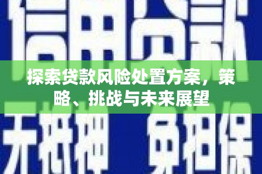 梅州探索贷款风险处置方案，策略、挑战与未来展望