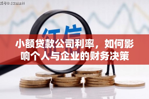 梅州小额贷款公司利率，如何影响个人与企业的财务决策