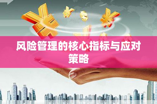 梅州风险管理的核心指标与应对策略
