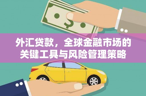 梅州外汇贷款，全球金融市场的关键工具与风险管理策略