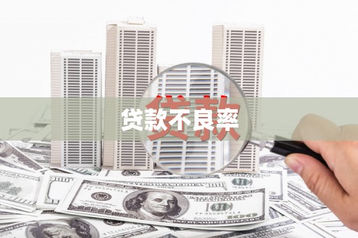 梅州贷款不良率