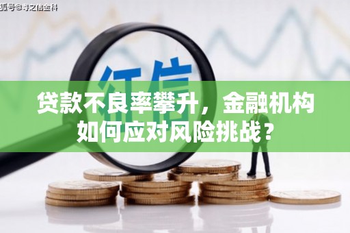 梅州贷款不良率攀升，金融机构如何应对风险挑战？