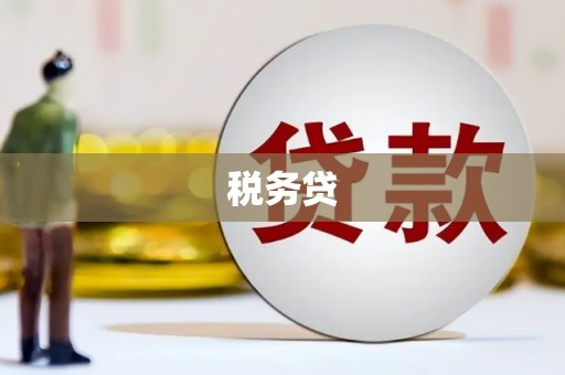 梅州税务贷
