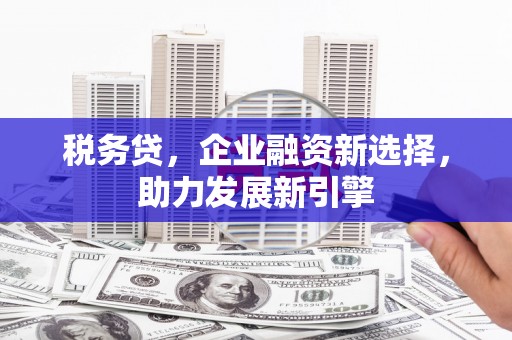 梅州税务贷，企业融资新选择，助力发展新引擎
