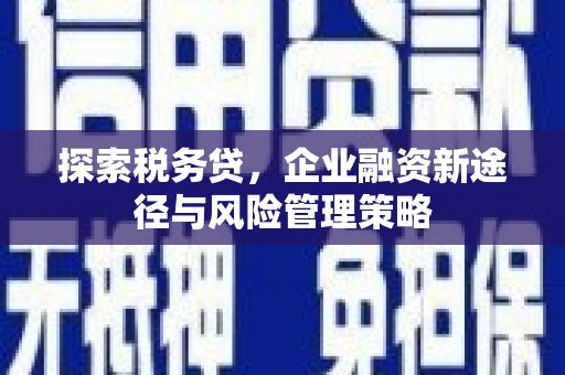 梅州探索税务贷，企业融资新途径与风险管理策略