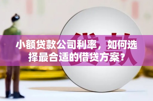 梅州小额贷款公司利率，如何选择最合适的借贷方案？
