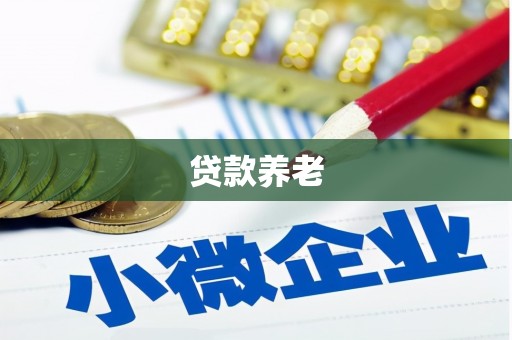 梅州贷款养老