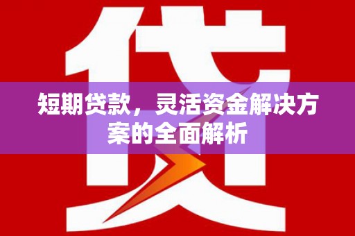 梅州短期贷款，灵活资金解决方案的全面解析