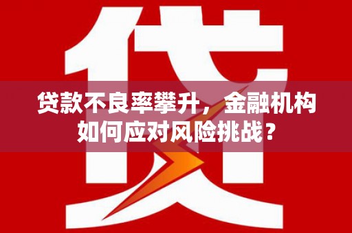 梅州贷款不良率攀升，金融机构如何应对风险挑战？