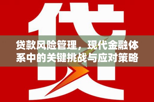 梅州贷款风险管理，现代金融体系中的关键挑战与应对策略