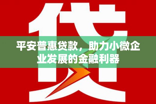 梅州平安普惠贷款，助力小微企业发展的金融利器