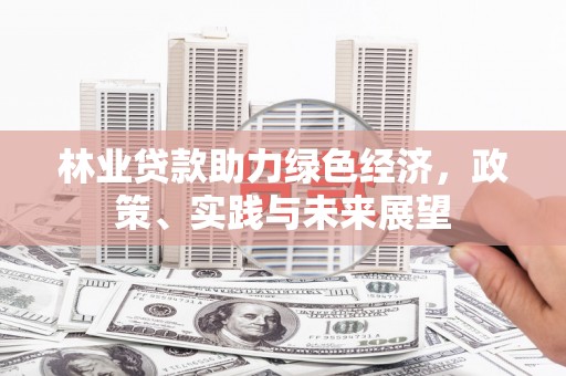 梅州林业贷款助力绿色经济，政策、实践与未来展望