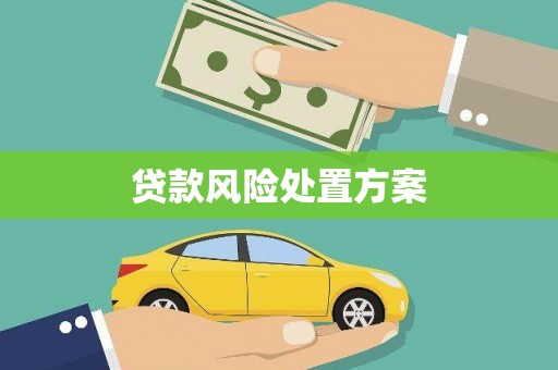 梅州贷款风险处置方案