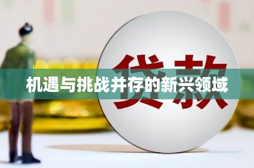 梅州机遇与挑战并存的新兴领域