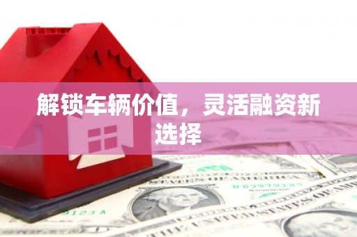 梅州解锁车辆价值，灵活融资新选择